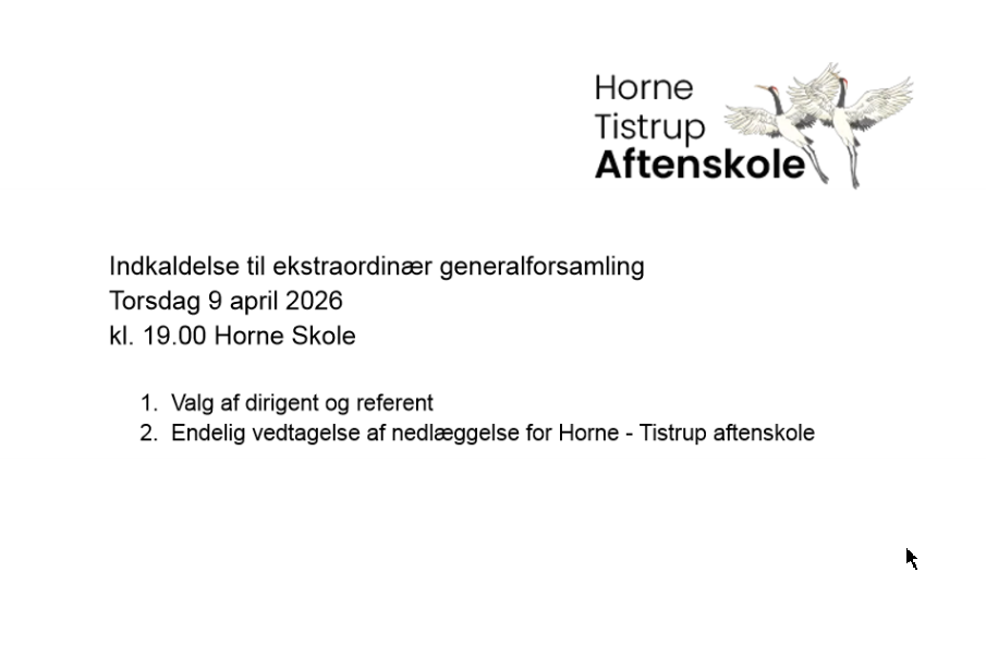 Ekstraordinær generalforsamling