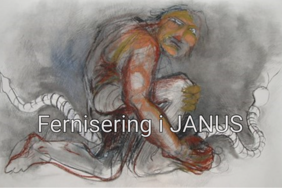 Fernisering i JANUS